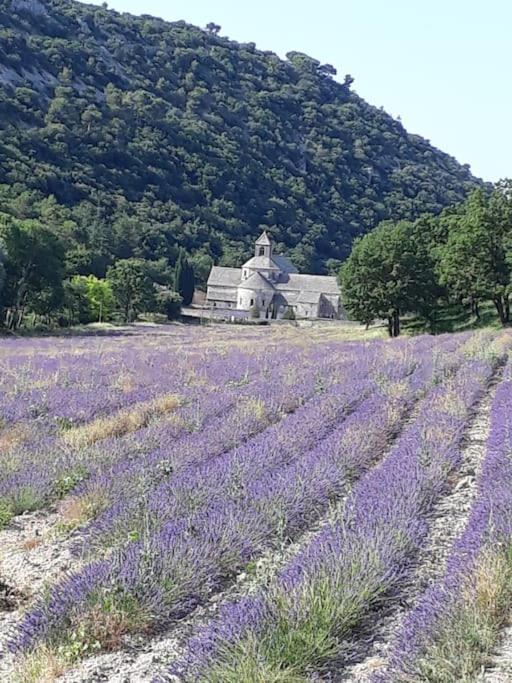 Bastidon Plein Sud Villa Gordes Exteriör bild