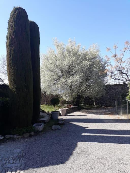 Bastidon Plein Sud Villa Gordes Exteriör bild